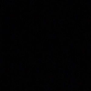 Meet your Posher, Lee